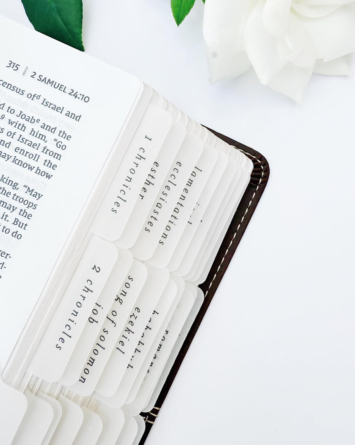 Vellum Script Bible Tabs