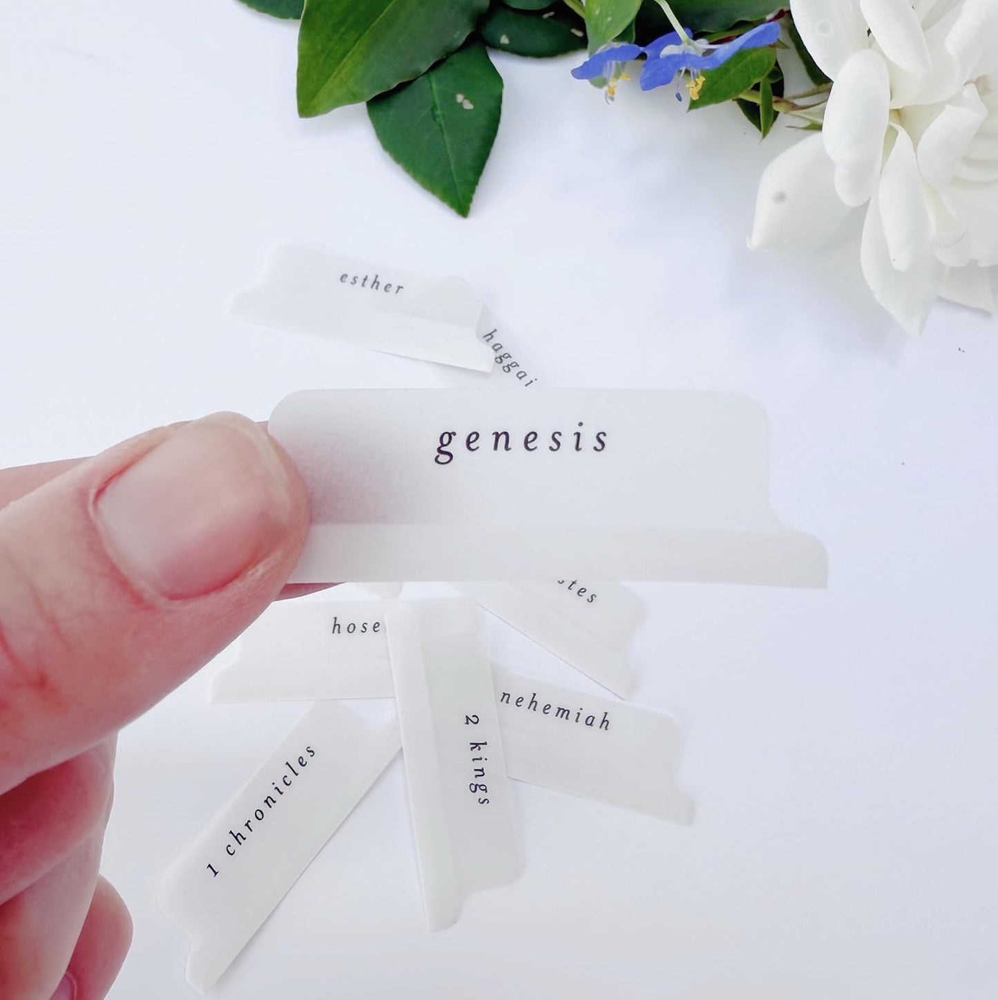 Vellum Script Bible Tabs